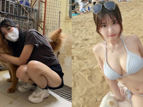 人美心善體還辣！香港巨乳正妹利用閒暇時間擔任狗園義工