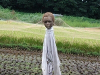 田野中詭異「擬真稻草人」，空洞眼神彷彿有靈魂