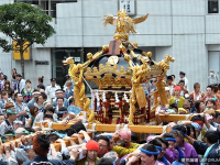 日本祭典�起「神輿」男人的肩膀　腫脹程度真的讓網友驚呆了！