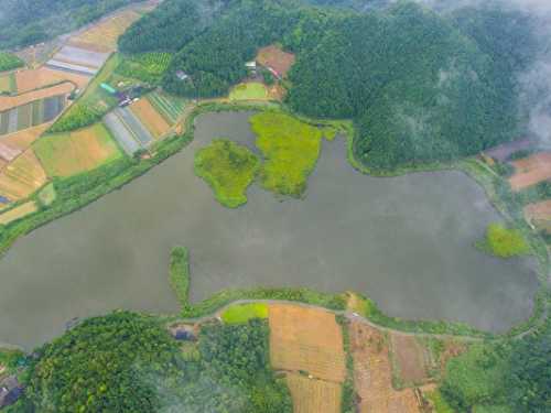 老於500年浮島 玩大風吹漂移遊戲