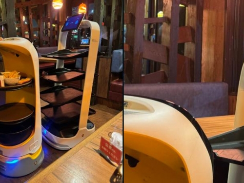 狹路相逢！日本「送餐機器人」氣噗噗 吸980萬人朝聖