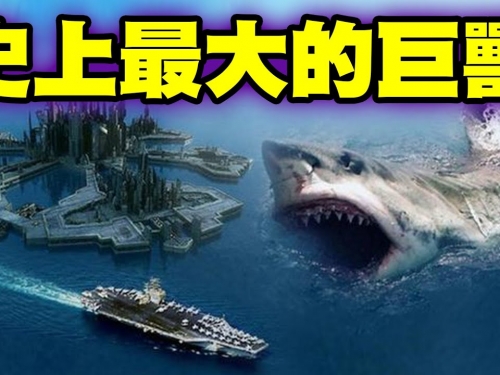神話般的巨獸！史上最巨大的動物可能不是藍鯨？這隻怪獸快跟操場跑道一樣長了！！！