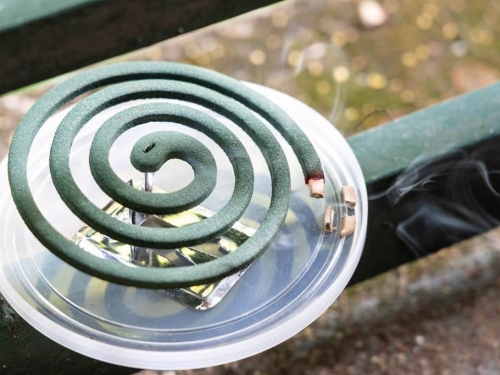 古代沒蚊香 夏天如何驅蟲 最後一種方法「重口味」