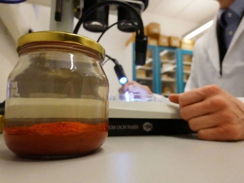 波羅的海沈船逾500年 考古團隊挖出「香料」、保存狀況極佳
