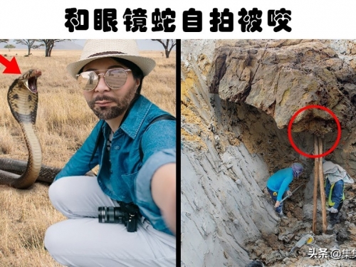愚蠢致死：因為做出愚蠢的行為而死亡的7個人