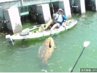 他在悠閑地釣魚，突然被一股猛力震住…下一秒他就被眼前看到的東西嚇住了…