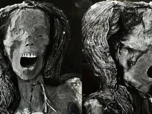 埃及「尖叫女屍」死於劇痛 器官完整保存3500年
