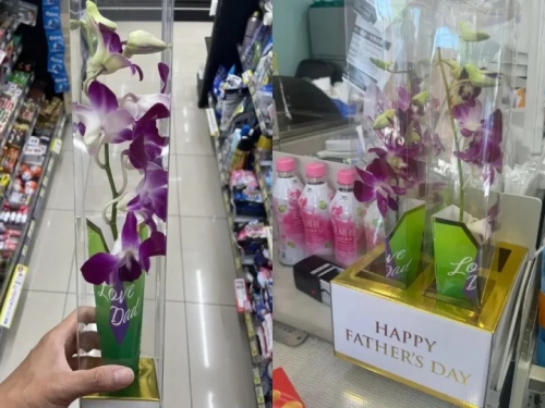 新流行？父親節「超商賣蘭花」他看傻 內行曝真相：花語像爸爸