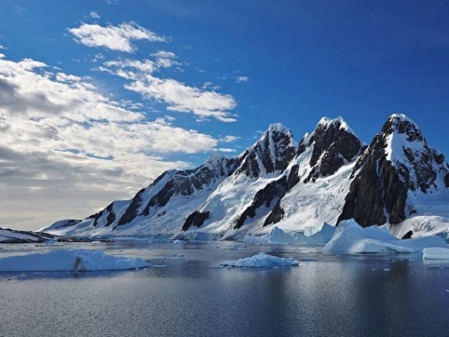 研究：九千萬年前南極是雨林氣候