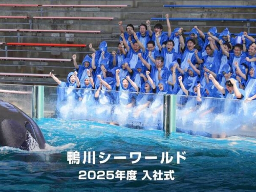 水族館新進員工接受「大前輩洗禮」 另類職場霸淩？