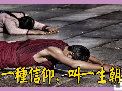 有一種信仰，叫一生朝拜 讓很多人明白了什麼才是真正的信仰