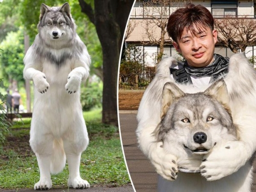真．狼人出沒！日男工程師花70萬打造野狼套裝 原因竟是……