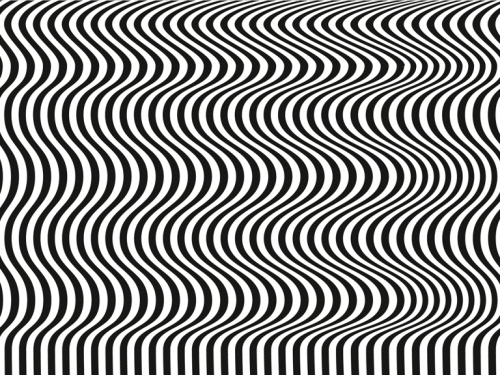 僅1％人才看得到 黑白斜線圖藏動物 百萬人瘋挑戰