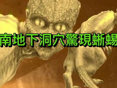 越南山水洞穴驚現蜥蜴人 科學家：外星人留下的特殊物種？