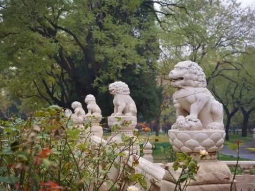 揭秘故宮靈異事件：故宮斷虹橋第四座石獅子為什麼不能摸？