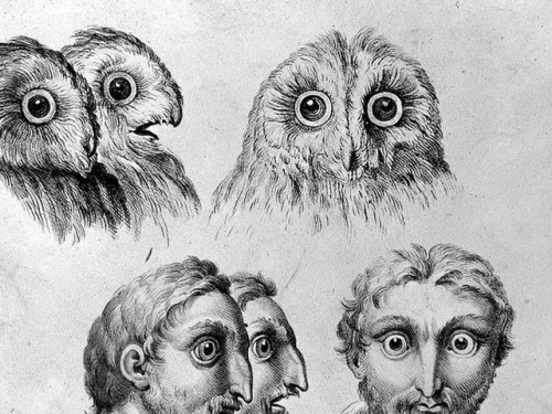 聞所未聞！1815年出生了一隻長著人臉的母雞