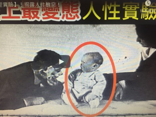 6個超變態的【心理實驗】！揭露人性醜惡