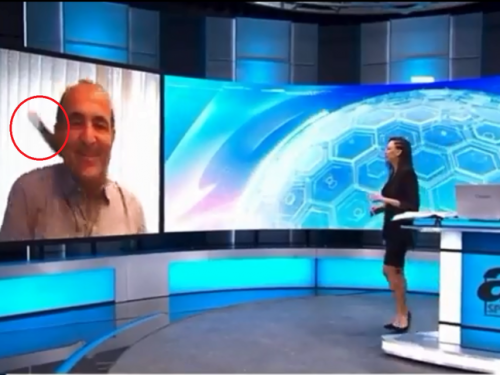 直播到一半慘遭「貓皇巴頭」！放送事故影片笑翻數萬網友