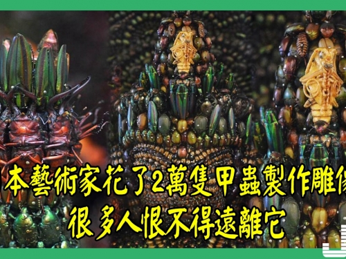 日本藝術家花了2萬隻甲蟲製作雕像，很多人恨不得遠離它！