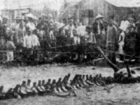 有圖有真相！蛟龍曾在1934年於遼寧出現！