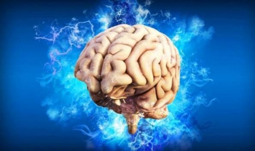 還在期待外星生活？科學家發現宇航員回地球後DNA“變異”