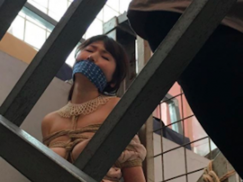 大師級「日本成人藝術」尺度沒有極限！帶你探索男人心裡最原始的渴望...