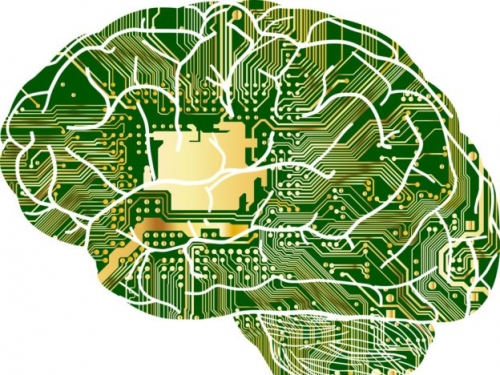 使用 AI 訓練類人腦細胞，科學家：生物電腦可突破技術極限