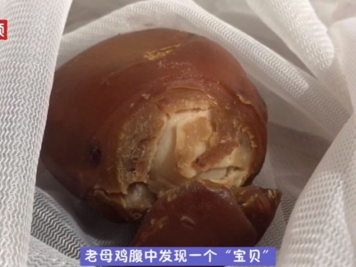 母雞5年不下蛋 剖肚後發現「寶」！