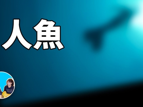 怕海的人不要看，真實的美人魚 | 老高與小茉 Mr & Mrs Gao