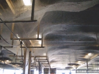 5000坪的蛛網，廢工廠成了蜘蛛錫安城