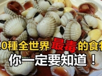 注意了！10種全世界最毒的食物， 有一樣我們還很常吃！