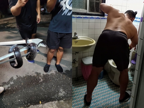 浴室裡有蛇！男曬照洩超猛身材 網全歪樓：巨石強森？