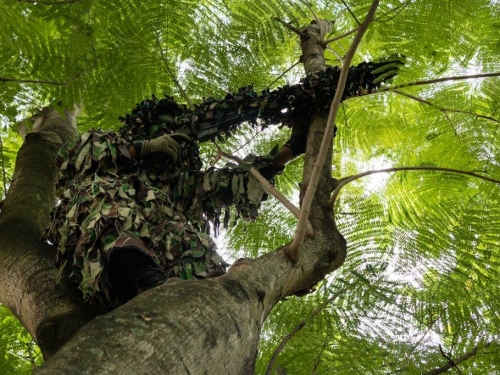 美國軍武為何能稱霸世界 內行人揭關鍵主因