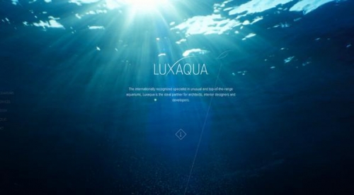 海底2500米深處竟然還有生物，他們靠著什麼在沒有陽光生存