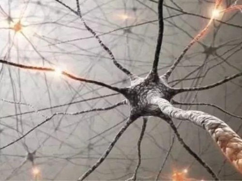 科學家破解意識之謎，人腦或在11個維度上運行