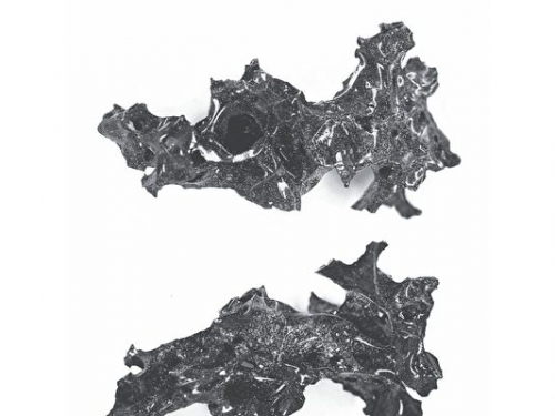 考古發現龐貝城火山噴發遇難者腦化石
