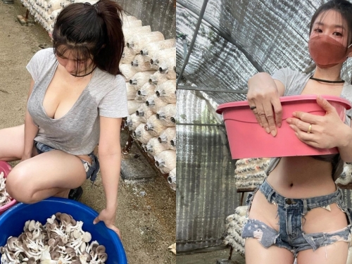 超狂巨乳「香菇妹」採收穿搭好清涼！「白嫩三角」挖洞通風，若隱若現好色色！