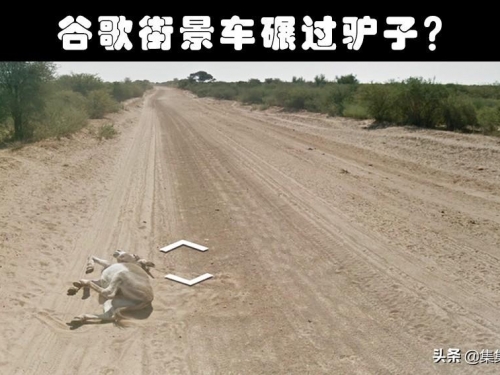 在谷歌地圖上，被人們發現的9種可疑的奇特生物