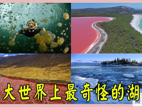 十大世界上最奇怪的湖泊，納特龍湖是美麗的死亡陷阱