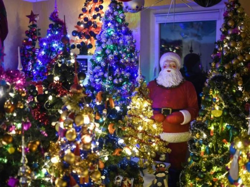 一棵不夠看！德國人家裡擺444棵耶誕樹 破世界紀錄