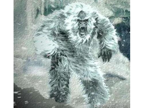 雪人遺骸曝光，被證實雪人就是史前未滅絕的熊