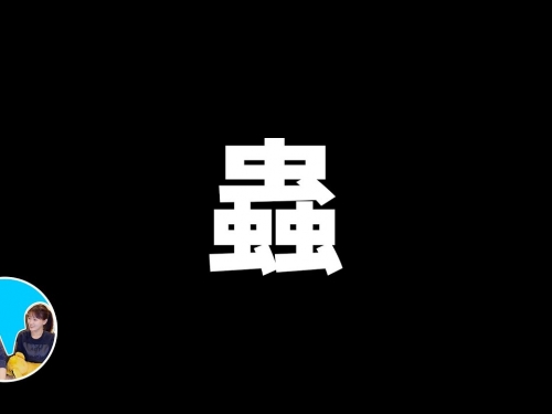 你所不了解的昆蟲 | 老高與小茉 Mr & Mrs Gao