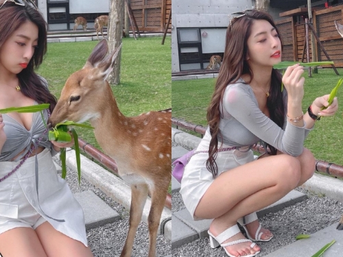 動物農場驚見「爆乳美腿妹」甜餵小鹿斑比，超療癒畫面讓人瘋狂心動！