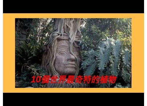 10個世界最奇特的植物(食人植物真的是傳說?)