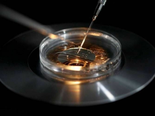 倫理風暴！新技術恐讓「偷人生子」成真 科學家成功用皮膚細胞造卵