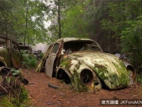全世界最大的汽車墳墓
