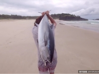 拿iPhone來釣魚，你有聽過這種事嗎！？居然還能釣到大魚！